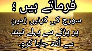 Mola Ali A.S Quotes 3