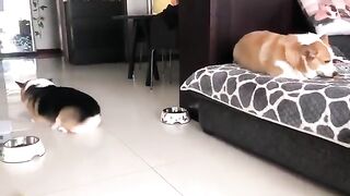 Arguing on Febspot.. ???? very funny