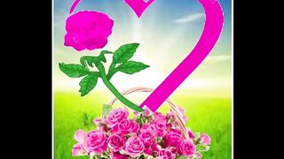 ????Very Attractive Flowers dp with girl hand,Dp,Girls DP,Rose dp, rose picture.
