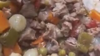 Turkish kebab (subscribe please)