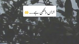 Janat nahi maa dekhi hai