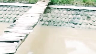 funny video crossing the bridge