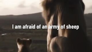 Lion King 4