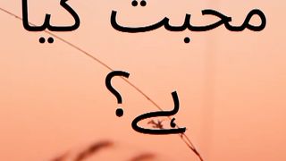 mohobet
