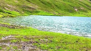 Find 'beautiful birds in nature' on TikTok - TikTok Search_4.