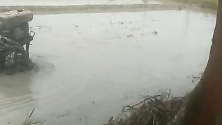 Bajak sawaj