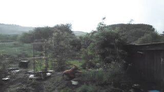 Soothing Summer Rainfall: Village Atmosphere & Harmonious Melodies
