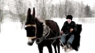 Лига справедливости. Анти-трейлер, юмор, пародия