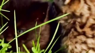 Как прекрасен этот мир!☘️♥️