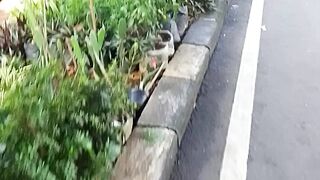 Amazing beutiful some plants or park  in Depok City West Java