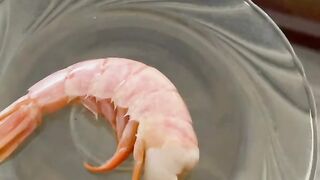 look how my cat burps from shrimp