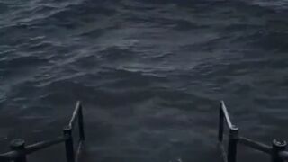 funny video part 1