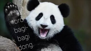 Animal hungry