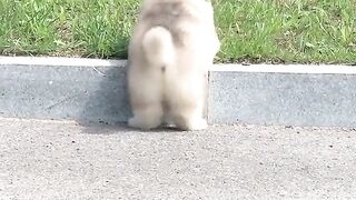 Funny & Cute