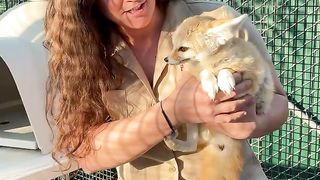 This_Cute_Little_Fox_Pooped_On_Me