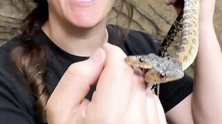 Two_headed_snake_bit_me