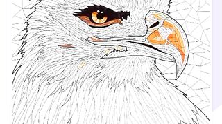 gallant eagle