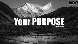 Your Purpose - Motivational Videos