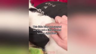 Funny Videos Instant Regret Fails