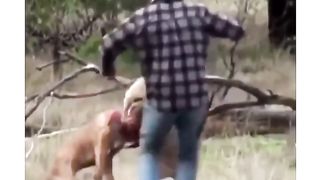 combat de fou