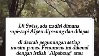 fakta dunia