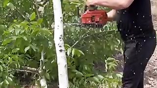 Planting