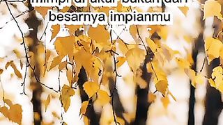 motivasi pejuang