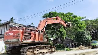 The excavator is cutting down a tree