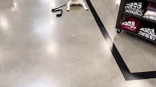 Shopping, sweetpitbull