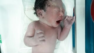 baby ciut