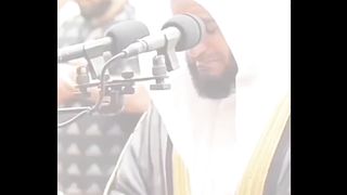 Hammada qalb bor