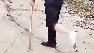 Funny Animal # funny short video 12M Views