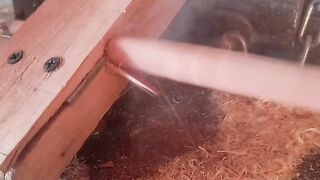 woodworking, wood, woodworking tools, woodworking projects, woodworking art, japanese woodworking, short, asmr