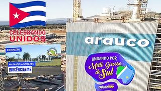 Essa é a maior de celulose Arauco Brasil chilena