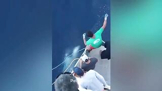 Pets Islande. Funny compilation