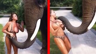 Gone Wrong_ The Funniest Pranks That Backfired