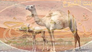 قصة قصيدة بن سمير والطيار