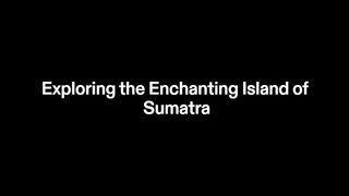 Exploring the Enchanting Island of Sumatra