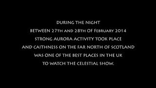 Night of the Northern Lights