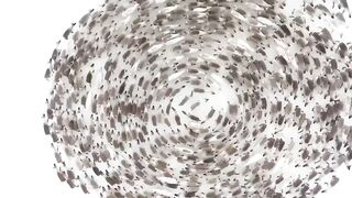 Des Actes Héroïques D'animaux Capturés À La Caméra ! 2