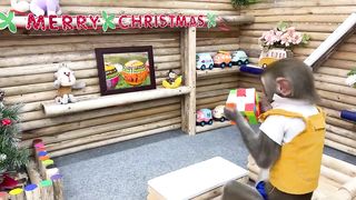 Satisfying video Cute Monkey animals - Smart Bim Bim harvest giant candy Lolipop Chupa chups