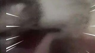 Funny cat 57