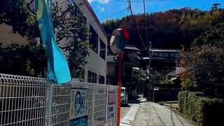 japan vintage