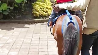 yumna riding a pony at the lembang farmhouse was very happy