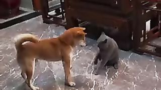 Real friend