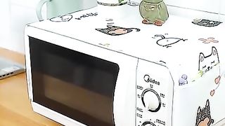 Microwave cover