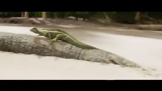 மெக் 2 (Meg 2) – Official Tamil Trailer.