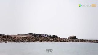 人鱼族受难，人鱼公主取出一物，所有人都变成了人鱼！ - 中国电视剧 Chinesedrama.