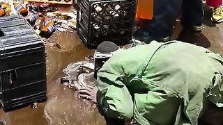 I am drinking beer