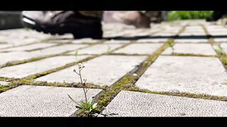 ХИМН  НА ЛЕГИОН " СВОБОДНА РУССИЯ  " И СВОБОДАТА